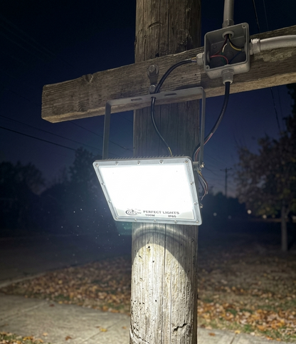 PLW 100W LED Flood Light IP66 Waterproof High Power Outdoor Indoor Light | 18 months warranty pack of 1
